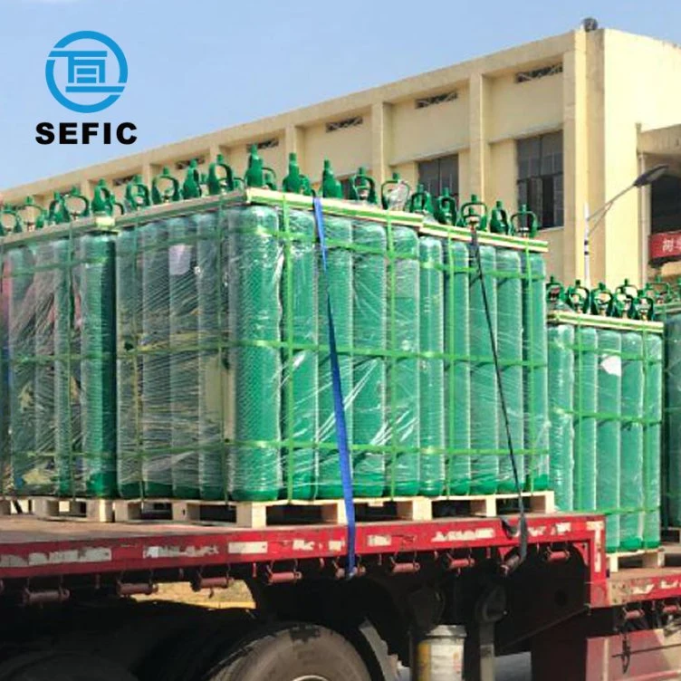 Sefic Seamless Steel Oxygen Hydrogen Argon Helium CO2 Nitrogen Gas Cylinder